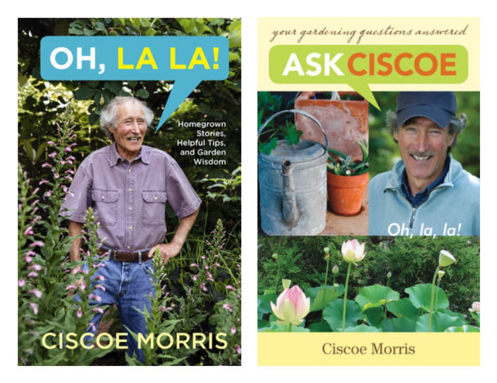 Ciscoe Cover Images