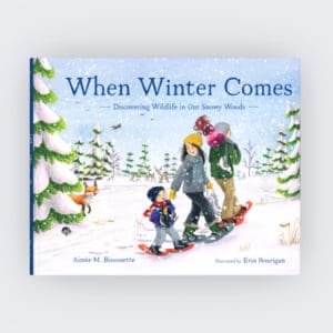 When Winter Comes Book Cover Image