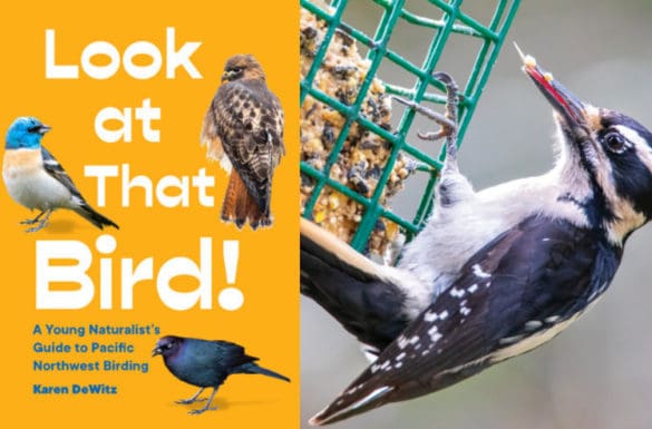 You Can Do It_ Suet! Activity Featured Image