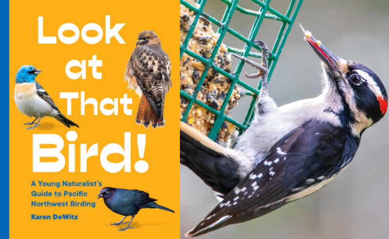 You Can Do It_ Suet! Activity Featured Image