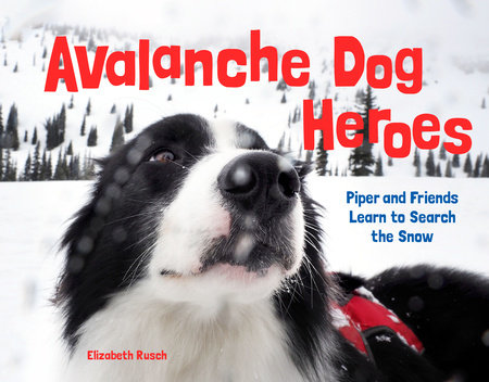 Famous Animals: Barry the Avalanche Dog