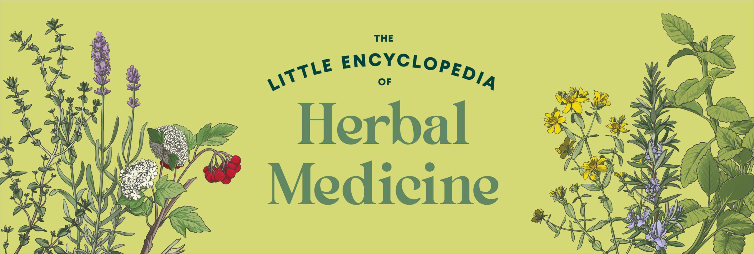 Herbal Medicine